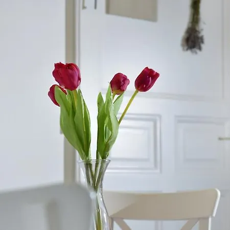 Paris Apartment *