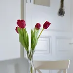 Paris 아파트 *